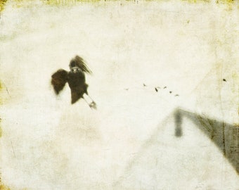 Flying crow in country field with barn, painterly photography print, unique wall art with a story, Title: "Evermore"