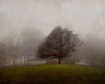 An atmospheric farm in Scotland, painterly photography print, unique wall art with a story, Title: "Nothing Was Anything it Shouldn't Be"