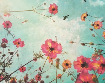 cosmos flowers looking up with sky and birds, painterly photography print, unique wall art with a story, Title: "Thanks for the Butterflies"