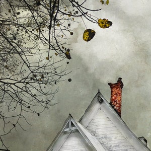 May include: A white, weathered, wooden house with a gable roof and a brick chimney. The house is partially obscured by a bare tree branch with yellow leaves.