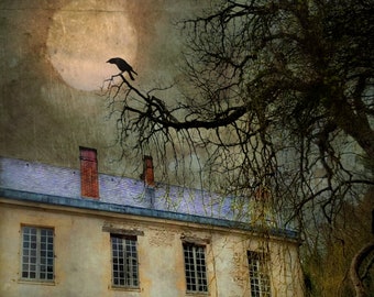 Spooky house, moon & bird and tree , painterly photography print, unique wall art with a story, Title: "Our Meeting Place"