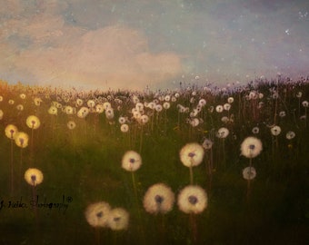 Day into night, dandelions and stars ready to wish on, painterly photography print, unique wall art with a story, Title: "Is So"