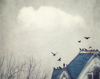 Title: "I'm Running A Bit Late" Rooftop and birds waiting for me to climb ladder, painterly photography print, unique wall art with a story