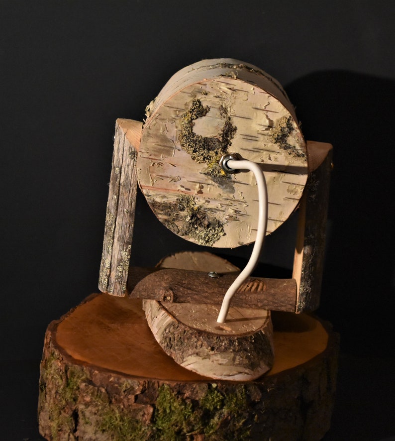 Spotlight with birch bark, nature, on Birch disc image 3