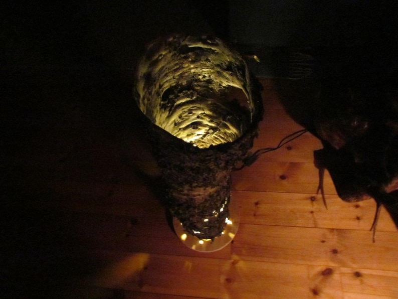 Wood lamp-exceptional natural light floor lamp