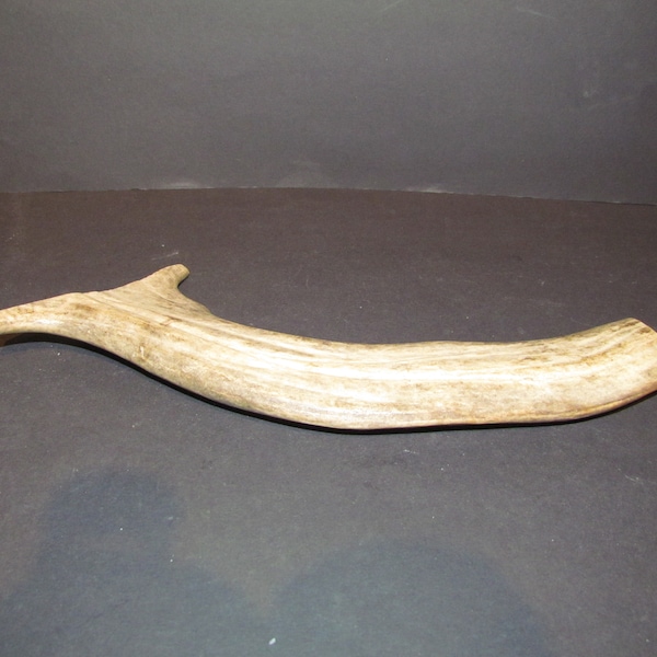 Deer antler piece 21