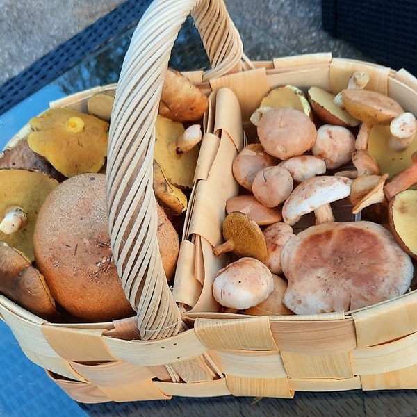 cesta de setas finlandesa hecha a mano