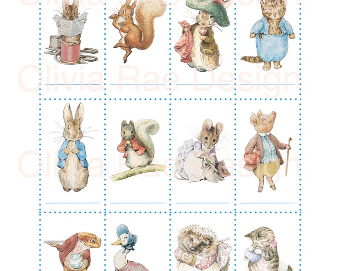 Peter Rabbit Baby Shower Game Name That Beatrix Potter Character - Etsy