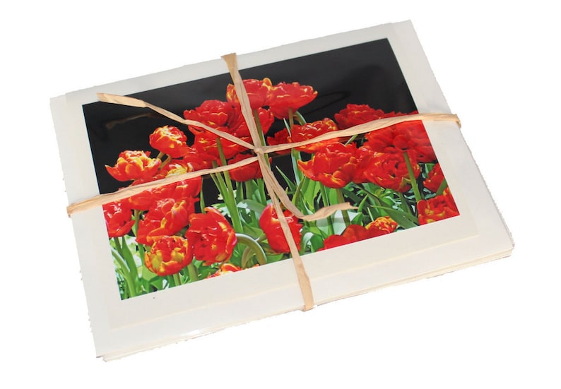 Blank Flower Photo Note Cards