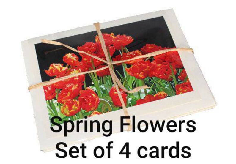 Blank Flower Photo Note Cards