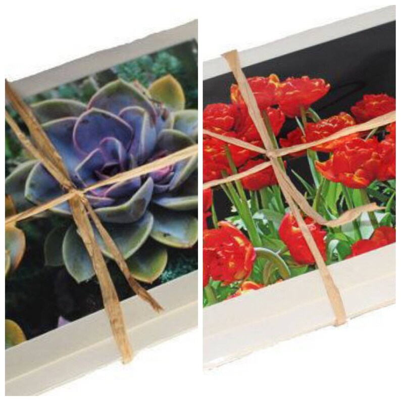 Blank Flower Photo Note Cards