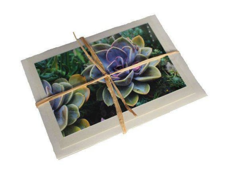 Blank Flower Photo Note Cards