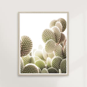 Prickly Pear | Nature Photography, Botanical Cactus, Southwest Desert, Boho Modern Art, Neutral Nature, Travel Wall Art | PRINTABLE #P30