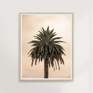 Tropical Sunset / Palm Tree Photography, Modern Minimalist, Travel Wall Art, Boho Natural, California Beach, Coastal Ocean / PRINTABLE #P22