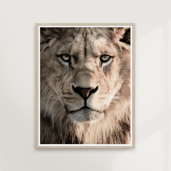 Lion Eyes | Animal Photography, Boho Modern Scandi, Travel Wall Art, Neutral Nature, Safari, Children Room, Africa Art | PRINTABLE #P37