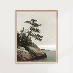 Seaside Pine | Vintage Landscape, Antique Painting, Coastal Shoreline, Seascape Cliff, Pacific Northwest, Cloudy Sky, Tree | PRINTED #V53