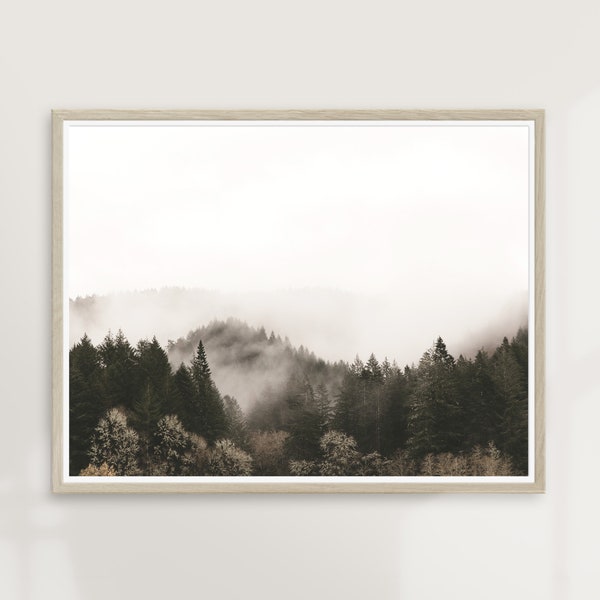 Morning Mist | Pacific Northwest Photography, Landscape Wall Decor, Nature Print, Evergreen Forest, Moody Wall Art, Boho Modern Print | P52