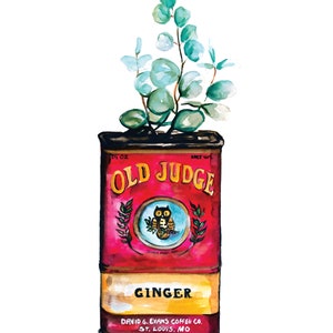 May include: A vintage red tin can with the words "Old Judge Ginger" and an illustration of an owl. The can is filled with a sprig of eucalyptus.
