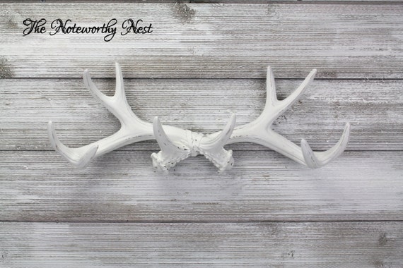 Any Color Jewelry Hanger Antler Hook Necklace Holder Etsy
