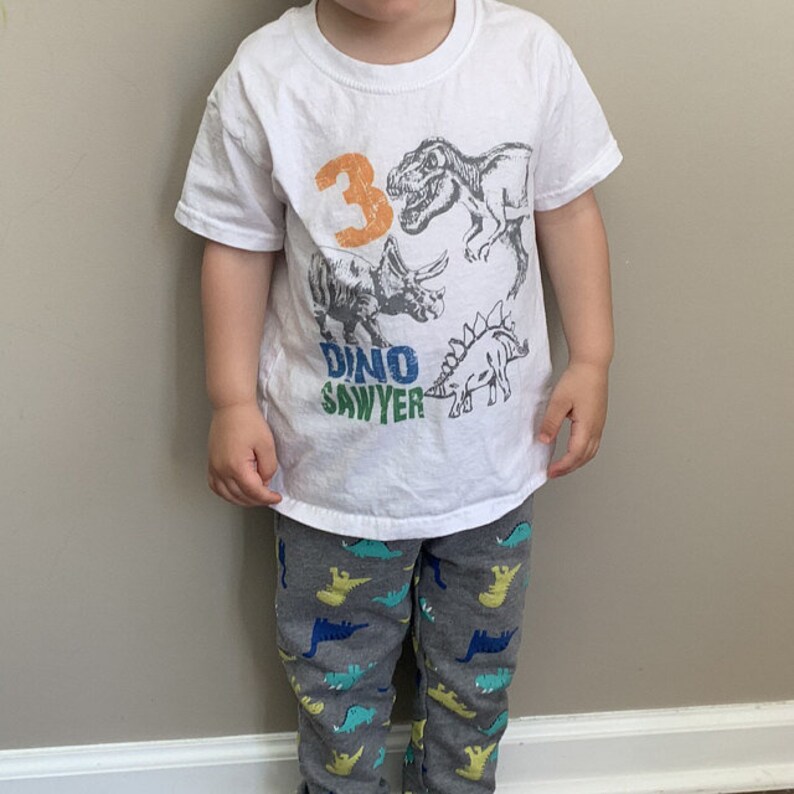 Dinosaur birthday shirt, gift for kids, t-rex party, dino theme party shirts for boys or girls, matching family image 2
