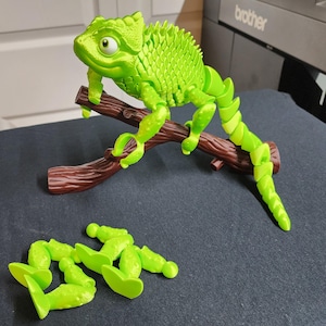 3D Printed Green Chameleon with moving parts and feet for desktop. 2 sets of legs.