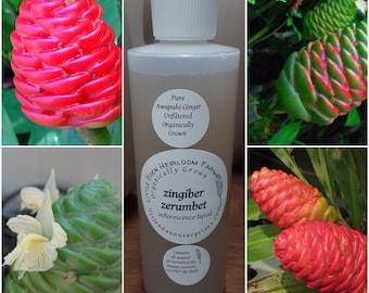 Awapuhi Ginger Flower Extract -Organic, Raw, Unfiltered with All-Natural Preservatives - Zingiber Zerumbet Inflorescence Liquid -Wild Ginger