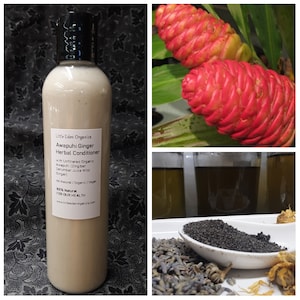 Bio Awapuhi Ginger Kräuterconditioner - 16 Unzen - Seidiger Satin Awapuhi Conditioner - Vegane Seidenproteid-Peptide - Zingiber Zerumbet