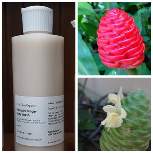 Sabonete Líquido Awapuhi - Limpador Natural e Orgânico - Gengibre Awapuhi - Zinger Zerumbet