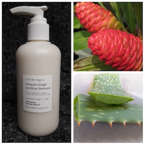Bio Awapuhi Ingwer und Aloe Shampoo - 16 Unze - Seidiges Satin Awapuhi Shampoo - Zingiber Zerumbet