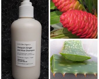 Naked Awapuhi Ginger and Aloe Shampoo (No Essential Oils) - 16 Ounce - Natural Shampoo - Organic Zingiber Zerumbet - Fragrance Free