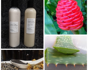 Op de afbeelding: Twee flessen natuurlijke haarverzorgingsproducten, Awapuhi Ginger and Aloe Shampoo en Awapuhi Ginger Herbal Conditioner, met een rode gemberbloem, een groen aloë vera-blad en gedroogde kruiden in een kom.