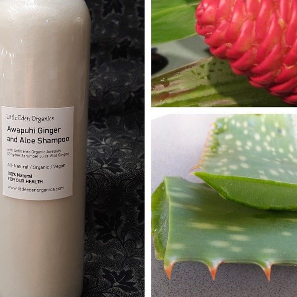 Organic Awapuhi Ginger and Aloe Shampoo - 4 Ounce - Silky Satin Awapuhi Shampoo - Vegan Silk Protein Peptides - Zingiber Zerumbet
