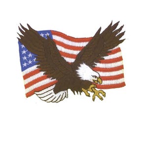 May include: An embroidered patch featuring a bald eagle with brown wings, a white head, and a yellow beak, positioned in front of a waving American flag with red and white stripes and a blue field with white stars on a plain white background.