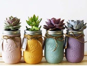 Pastel Collection of 4 Hand Painted Succulent Jars(Pink, Gold, Blue, Purple). Perfect gift, and Home Decoration.