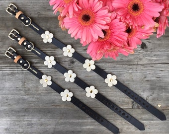 Leather Dog Collar with Flowers