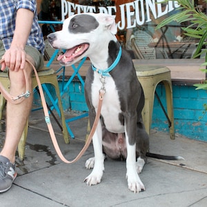 Leather Dog Leash - Adjustable and Colorful Tabs