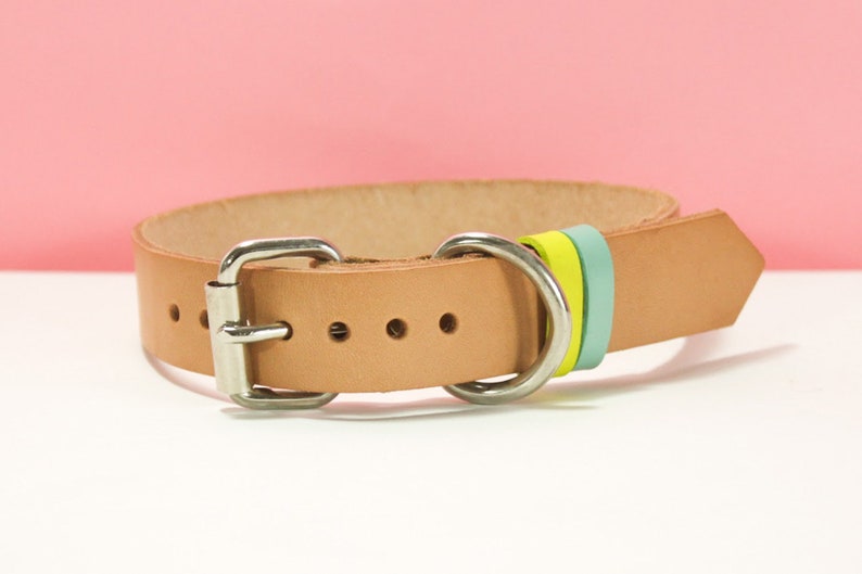 Medium to Large Dog Collar Dog Gift Leather Dog Collar with Buckle Leather Dog Collar Natural Veg with Colored Loops