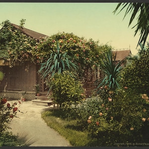 Cottage recouvert de roses, Pasadena 1898. réimpression de carte postale photo vintage 8 x 10 pouces. Roses Cabins Gardens Californie Pasadena