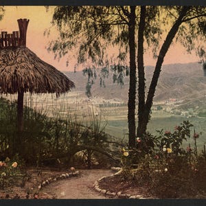 Vista da Smiley's Heights, Redlands, Cal. 1898. Ristampa di foto panoramica d'epoca 8x16-up. Natura California Redlands