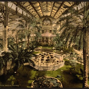 Jardin d'hiver (intérieur), Nice, Côte d'Azur] 1890. réimpression de carte postale vintage 8 x 10 pouces.