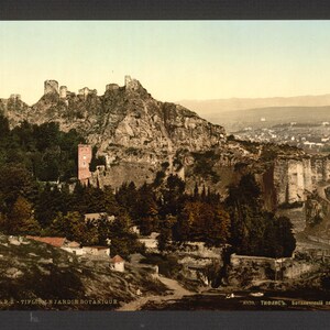 Jardins botaniques, Tiflis, Russie (c.-à-d. Tbilissi, Géorgie)] 1890. réimpression de carte postale photo vintage 8 x 10 up.