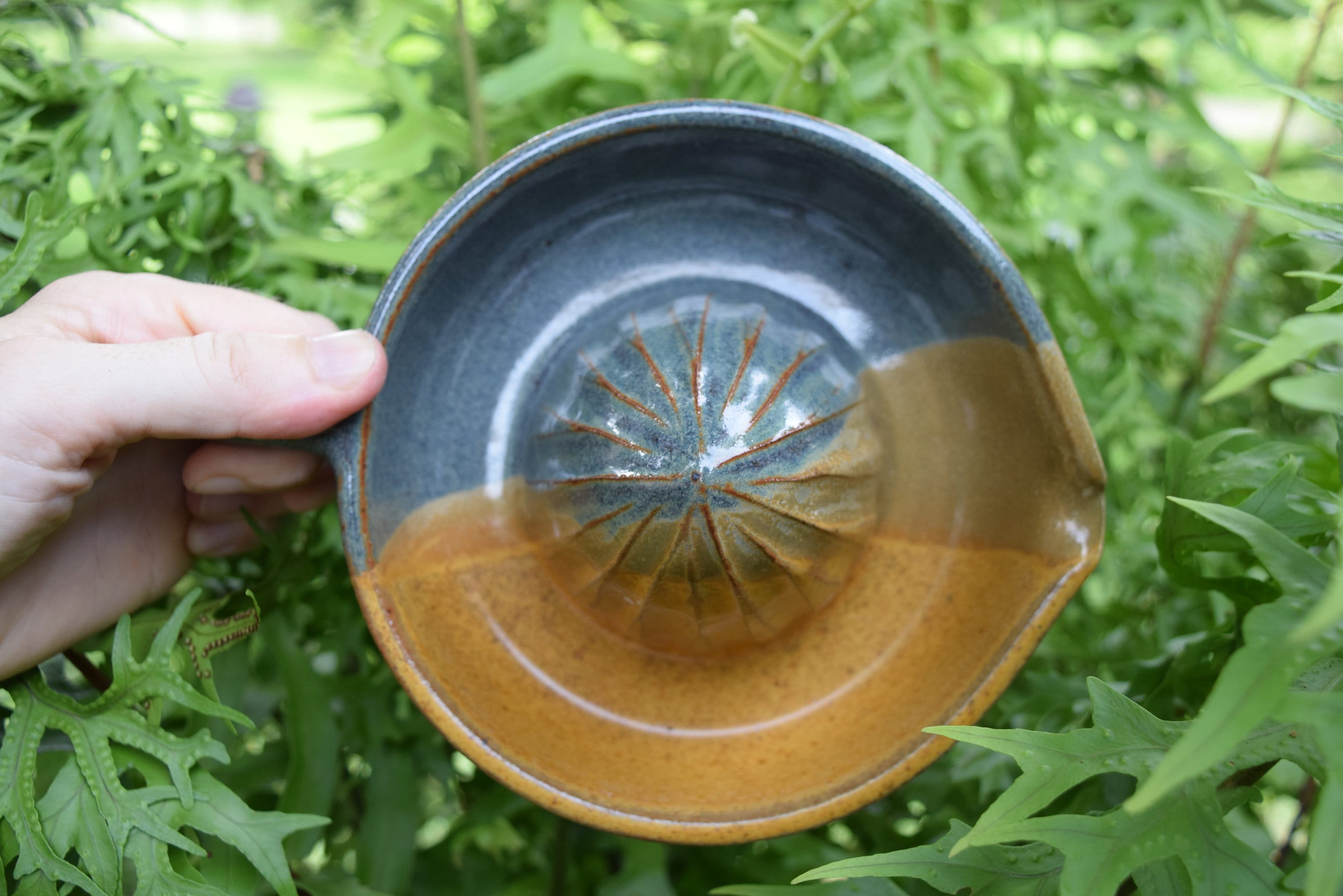 Ceramic Citrus Juicer With Handle Colorful Juice Squeezer Etsy