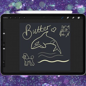 Procreate Butter Smooth Sketch Brush