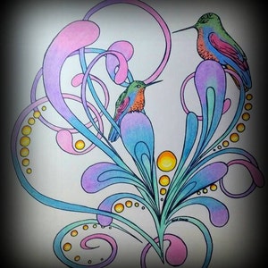 Color A Creation 'the Hummingbird Book' PDF - Etsy