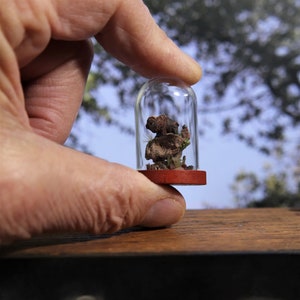 Micro Buffalo Diorama Cloche. OOAK Artisan Handmade Miniature Nature Scene in Glass Dome. Bison Vignette Terrarium. 1/6 Dollhouse Mini 1:12