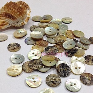 Könnte beinhalten: Eine Sammlung runder, weißer und brauner Muschelknäpfe mit jeweils zwei Löchern. Die Knäpfe sind auf einer weißen Fläche zu einem Stapel angeordnet.