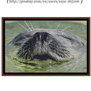 Water Babies - Seal ~~ Cross Stitch Pattern