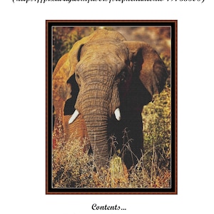 Just Browsing ~~ Cross Stitch Pattern