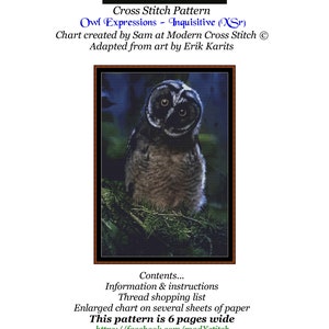 Könnte beinhalten: Kreuzstichmuster eines Eulen mit dem Titel "Owl Expressions - Inquisitive (XSr)". Das Diagramm wurde von Sam bei Modern Cross Stitch erstellt und von der Kunst von Erik Karits adaptiert. Das Muster ist 6 Seiten breit und auf der Website https://facebook.com/modXstitch verfügbar. Das Bild ist unter der Public Domain CCO lizenziert.