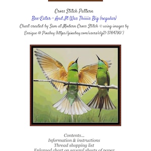 Bee-Eater - And It Was Thiiiis Big ~~ Cross Stitch Pattern